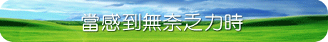 給您，同行者
